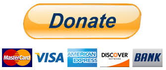 Donate Button Image with 5 Credit Cards